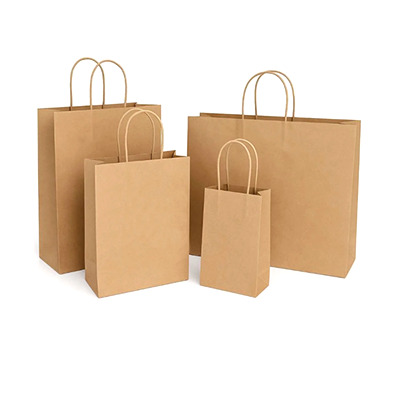 Burgu Saplı Kağıt Poşet / Çanta