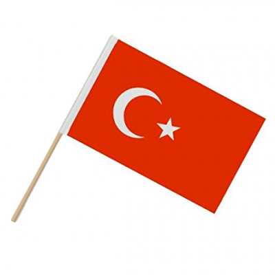 Sopalı Türk Bayrağı